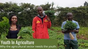 Youth Agri-food Export Development program (YAEDP) 2022